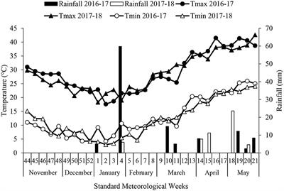 Sequential herbicide application coupled with mulch enhances the productivity and quality of winter onion (Allium cepa L.) while effectively controlling the mixed weed flora